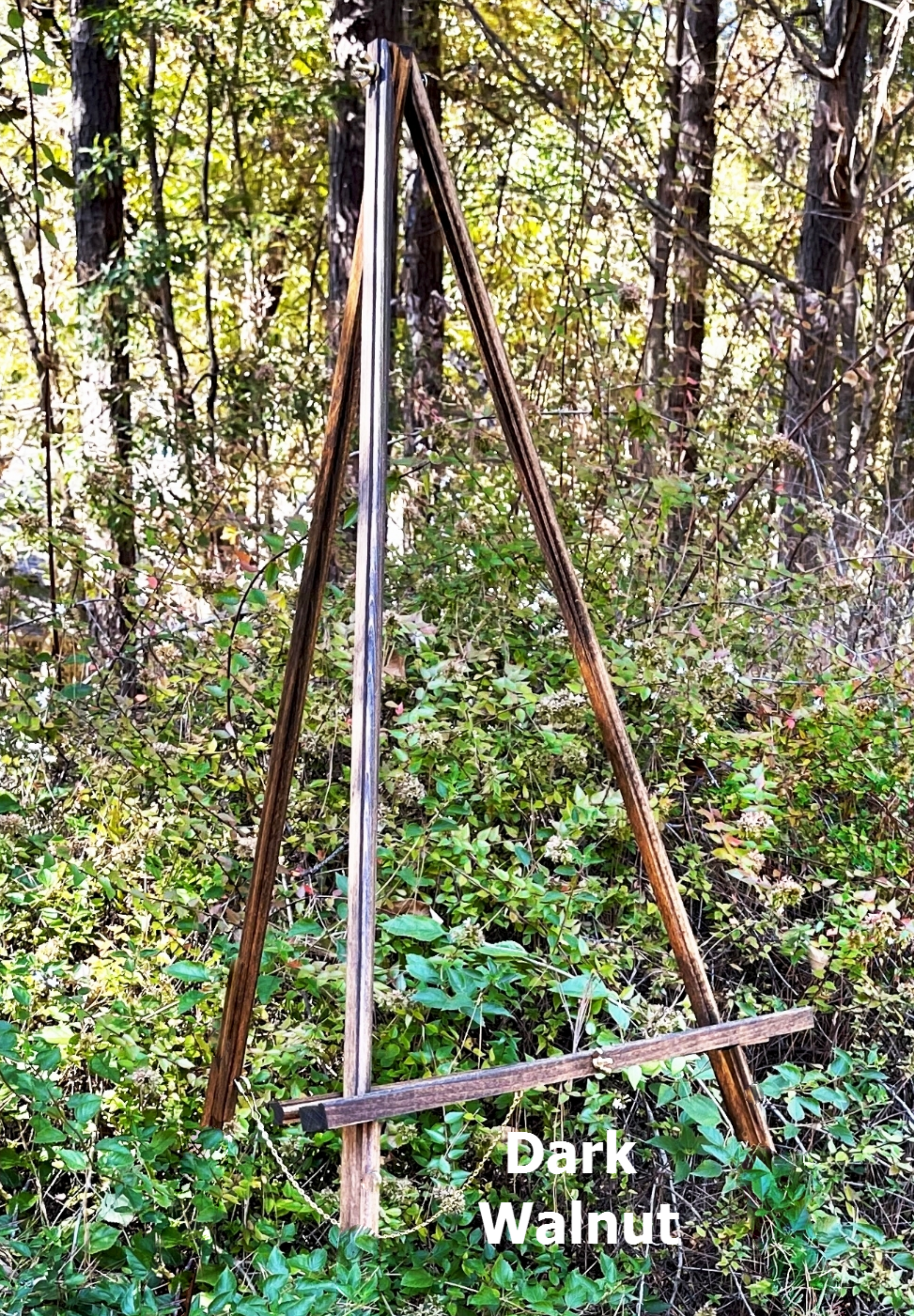 ANTIQUE BLACK FOREST WOODEN PICTURE FRAME EASEL STAND